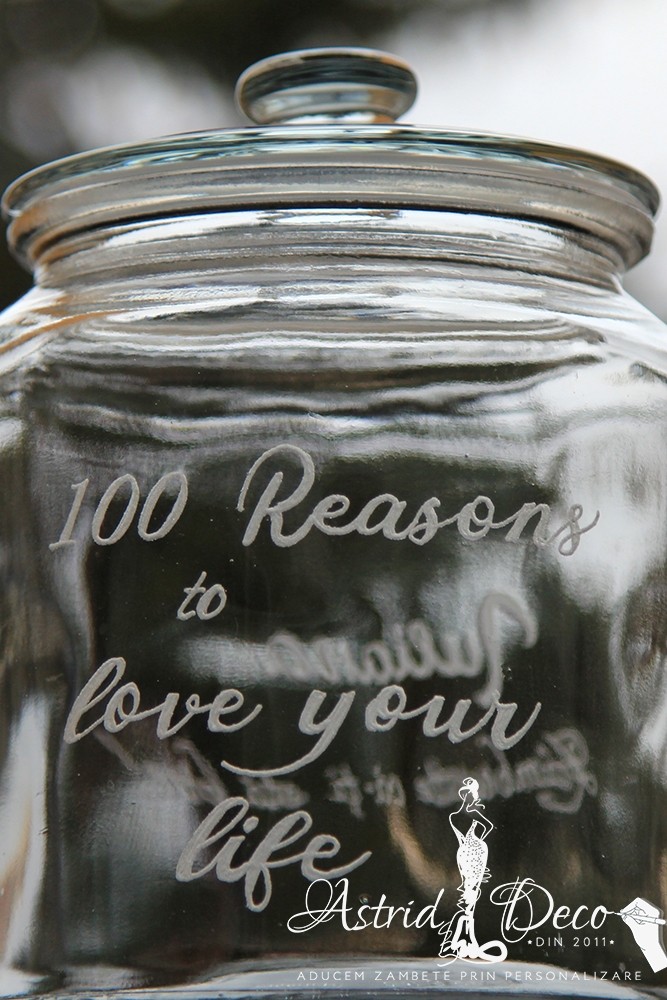 Borcan -Cookie Jar- gravat manual - 100 Reasons