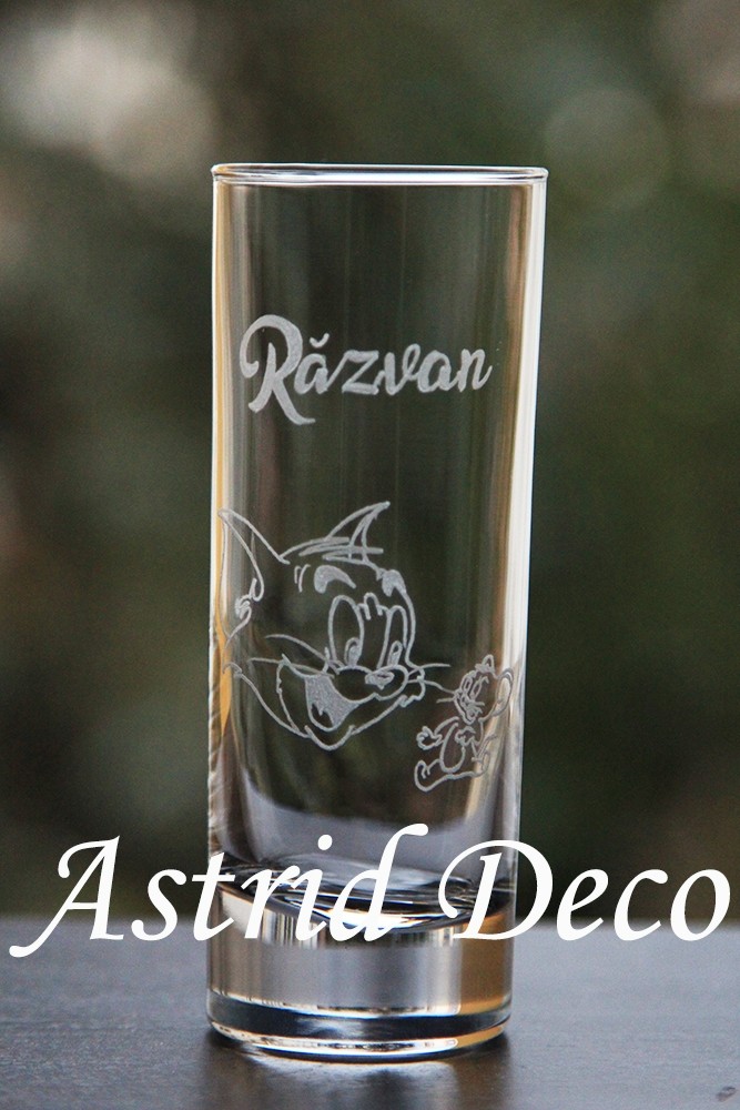 Pahar apa gravat manual- Tom & Jerry