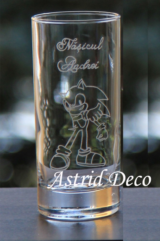 Pahar apa gravat manual- Sonic the Hedgehog