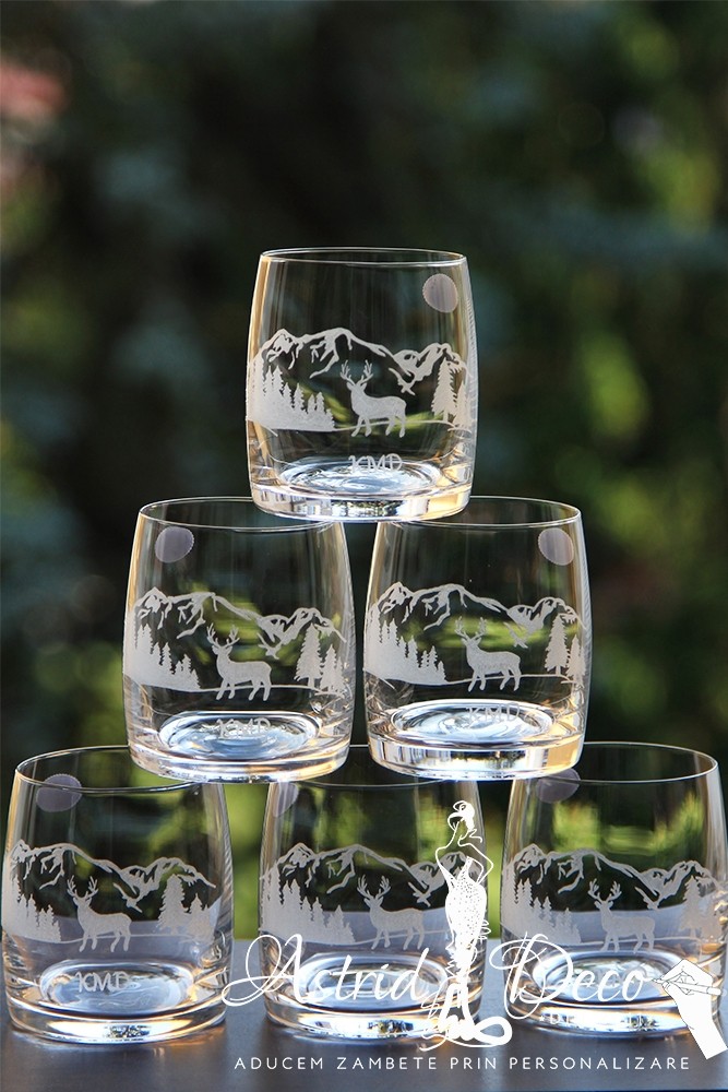 Set 6 pahare whiskey - Bohemia- Munti