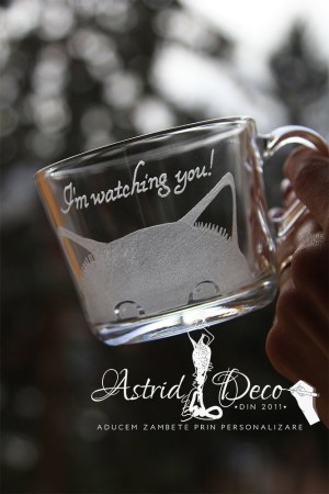 Cana gravata manual - I'm watching you 